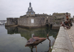 Concarneau - Eingang zur Ville Close